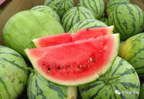 丽水今日吃瓜事件视频最新,一场网络热议背后的真相揭秘