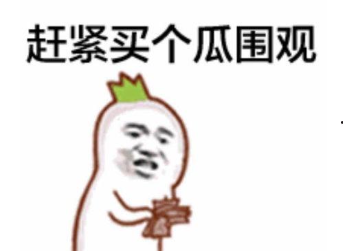 吃瓜群众可爱表情包,吃瓜群众表情包里的欢乐时光